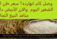 سعر طن الارز الشعير اليوم