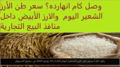 سعر طن الارز الشعير اليوم