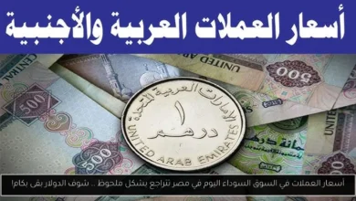 أسعار العملات في السوق السوداء اليوم في مصر