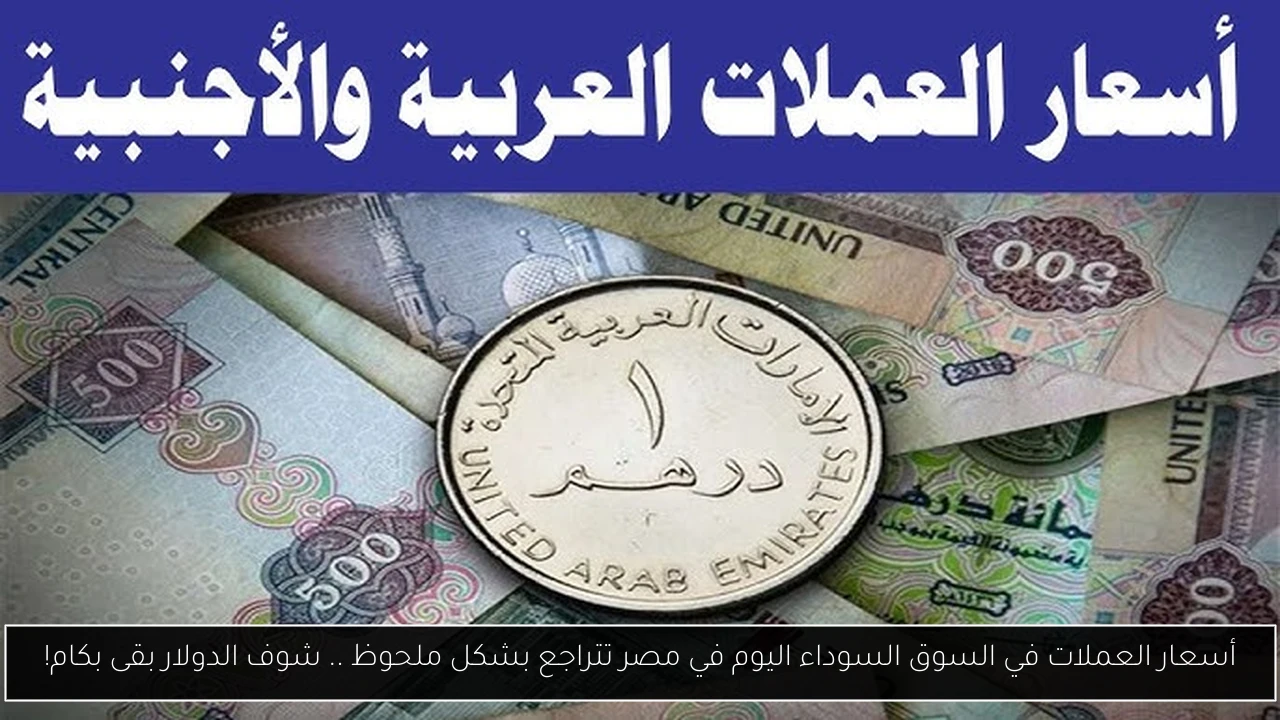 أسعار العملات في السوق السوداء اليوم في مصر