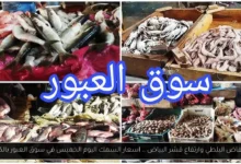 اسعار السمك اليوم