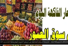 أسعار الفاكهة في سوق العبور اليوم