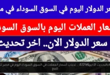 أسعار العملات في السوق السوداء اليوم في مصر