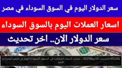 أسعار العملات في السوق السوداء اليوم في مصر