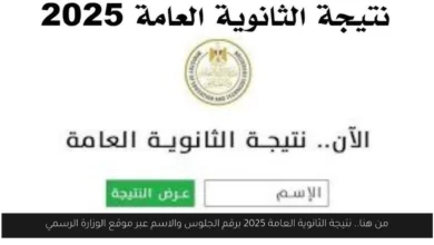 من هنا.. نتيجة الثانوية العامة 2025 برقم الجلوس والاسم عبر موقع الوزارة الرسمي