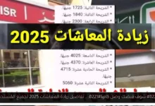 زيادة المعاشات
