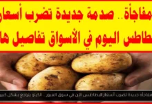 أسعار البطاطس الآن