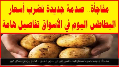 أسعار البطاطس الآن