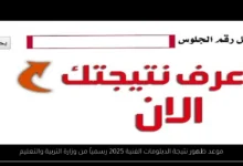 موعد ظهور نتيجة الدبلومات الفنية 2025