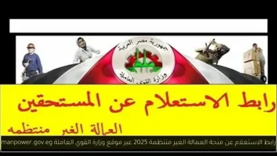 الاستعلام عن منحة العمالة الغير منتظمة 2025