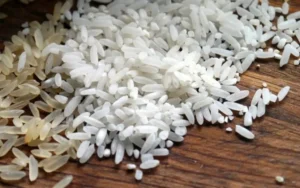 سعر طن الأرز الشعير اليوم