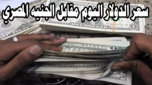 كم سعر 100 دولار اليوم في السوق السوداء؟