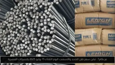 سعر طن الحديد والأسمنت اليوم
