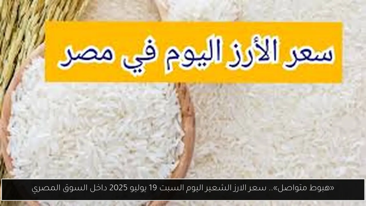 سعر الارز الشعير اليوم