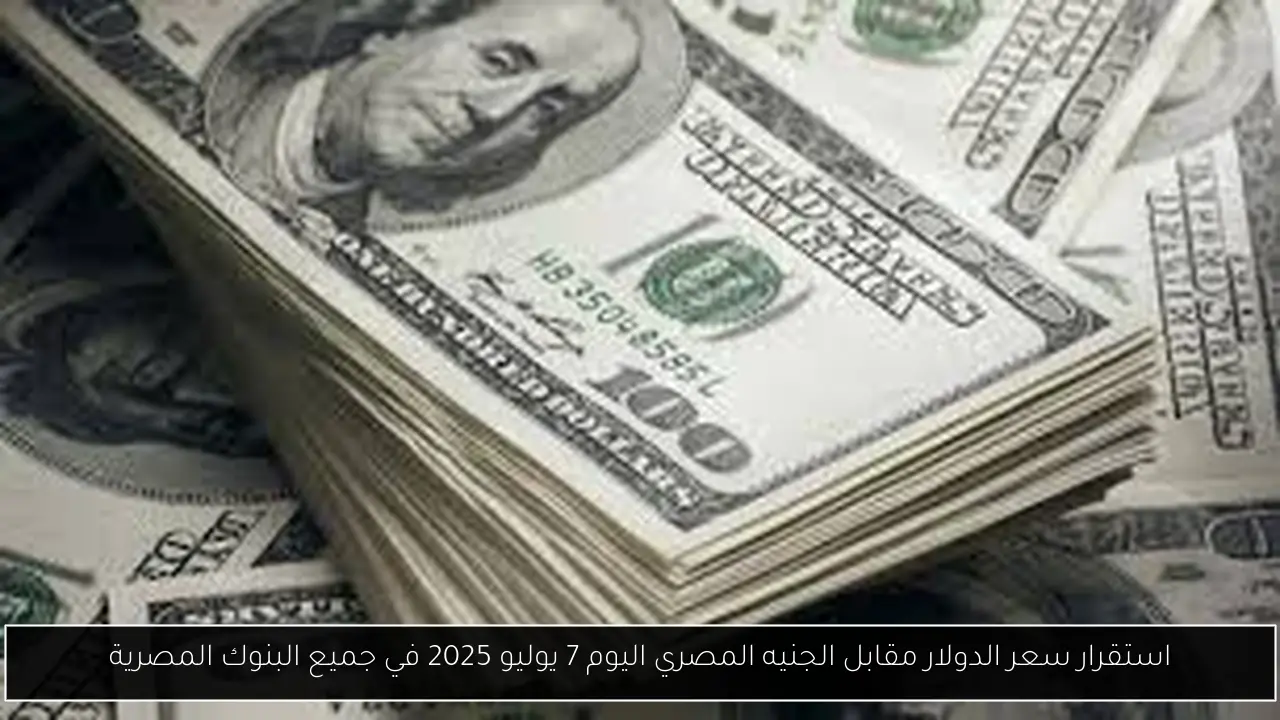 سعر الدولار مقابل الجنيه المصري