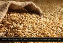 سعر الارز الشعير اليوم