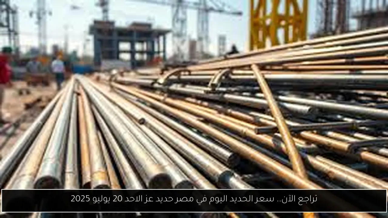 سعر الحديد اليوم في مصر حديد عز
