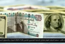 سعر الدولار اليوم مقابل الجنيه المصري