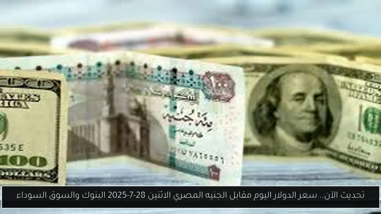 سعر الدولار اليوم مقابل الجنيه المصري
