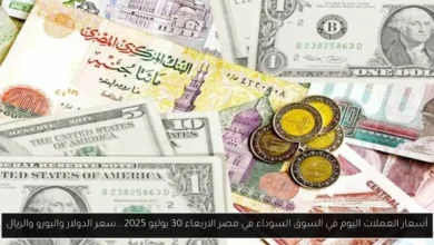 أسعار العملات في السوق السوداء اليوم في مصر