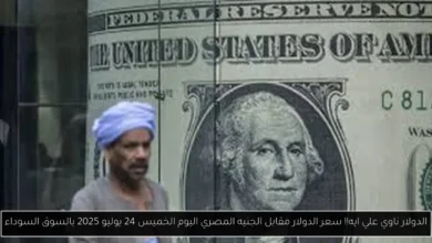 سعر الدولار مقابل الجنيه المصري