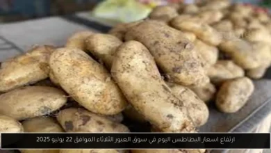 اسعار البطاطس اليوم في سوق العبور