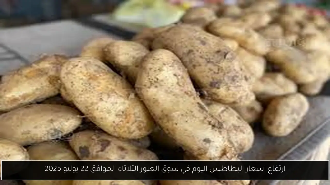 اسعار البطاطس اليوم في سوق العبور