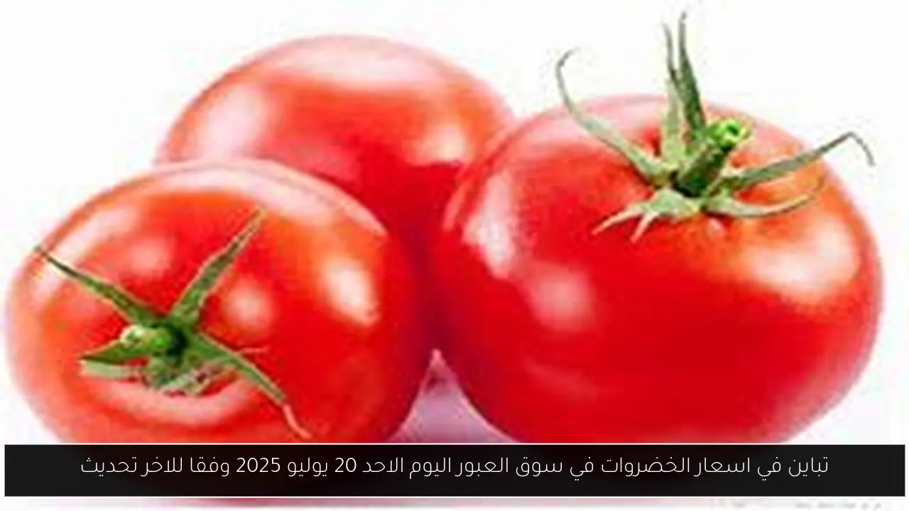 اسعار الخضروات في سوق العبور اليوم