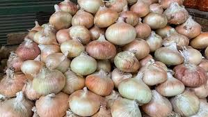 اسعار الخضروات في سوق العبور اليوم