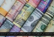 أسعار العملات في السوق السوداء اليوم في مصر