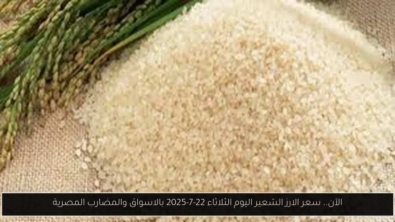 سعر الارز الشعير اليوم