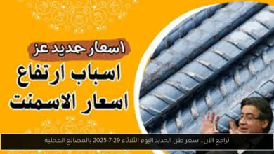 سعر طن الحديد اليوم
