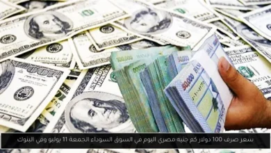 100 دولار كم جنيه مصري اليوم في السوق السوداء؟