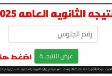 نتيجه الثانويه العامه 2025