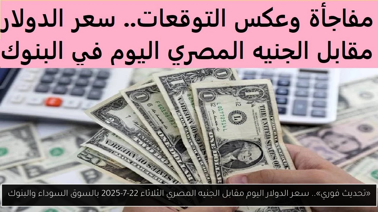 سعر الدولار اليوم مقابل الجنيه المصري