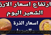 سعر الارز الشعير اليوم