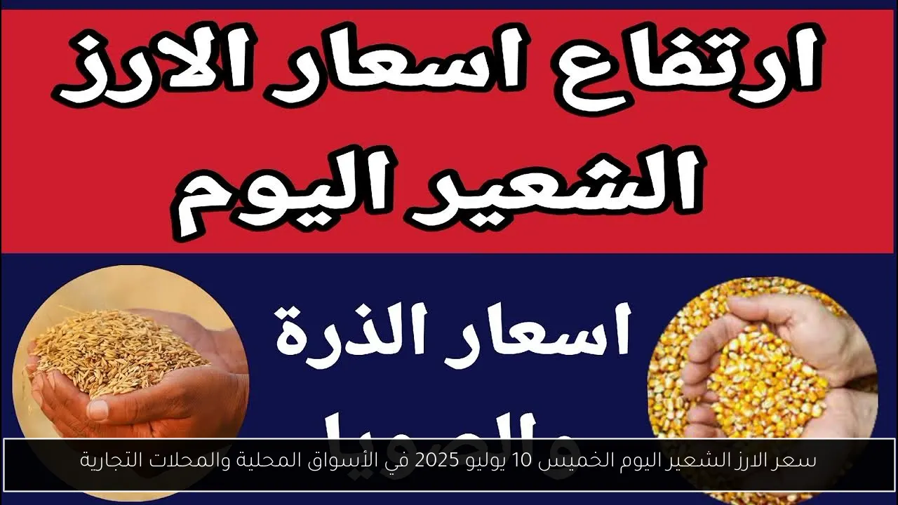سعر الارز الشعير اليوم