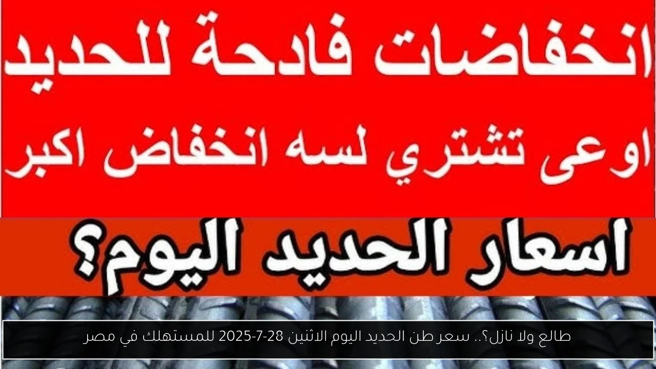 سعر طن الحديد اليوم