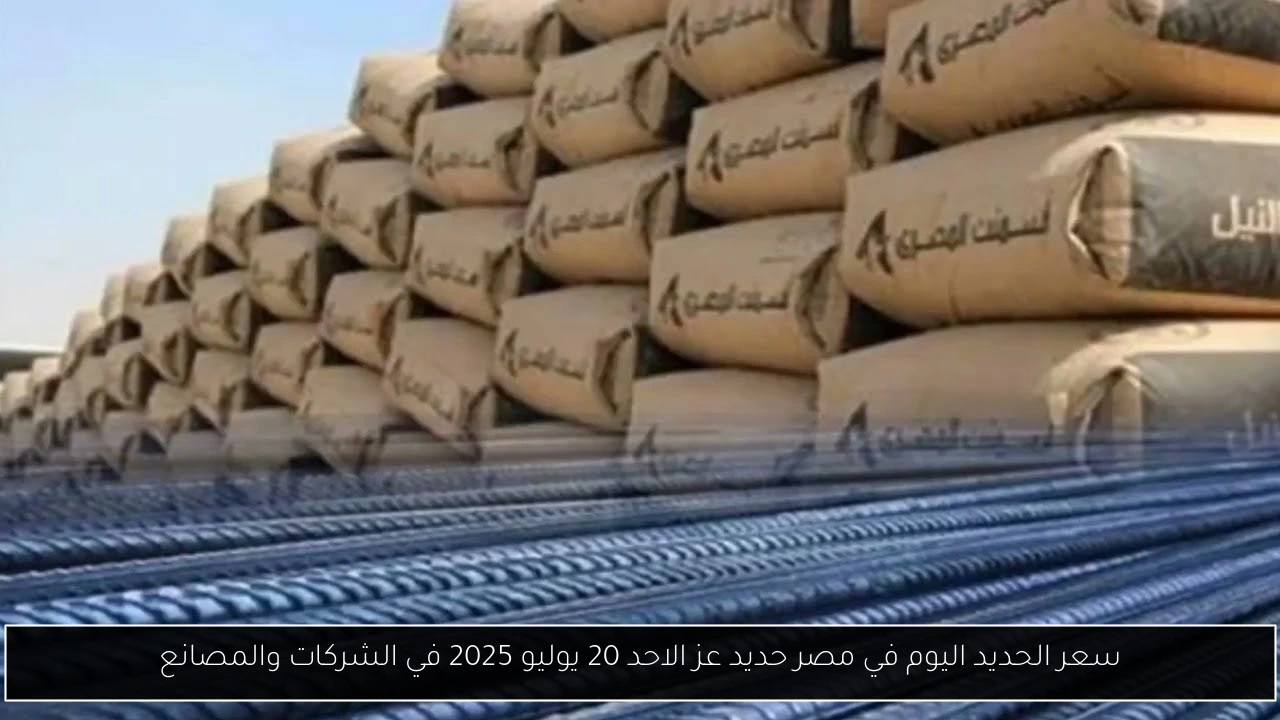 سعر الحديد اليوم في مصر حديد عز