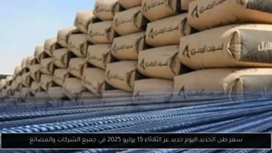سعر طن الحديد اليوم حديد عز