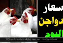 بورصة الدواجن اليوم أسعار الفراخ البيضاء