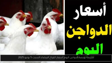 بورصة الدواجن اليوم أسعار الفراخ البيضاء