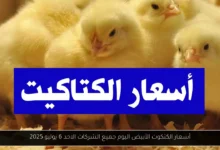 أسعار الكتكوت الأبيض اليوم جميع الشركات