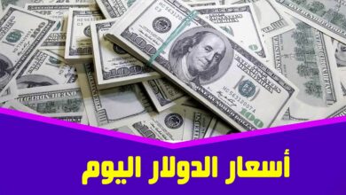 أسعار العملات في السوق السوداء اليوم في مصر
