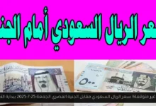 سعر الريال السعودي مقابل الجنيه المصري