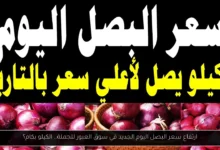 سعر البصل اليوم الجديد