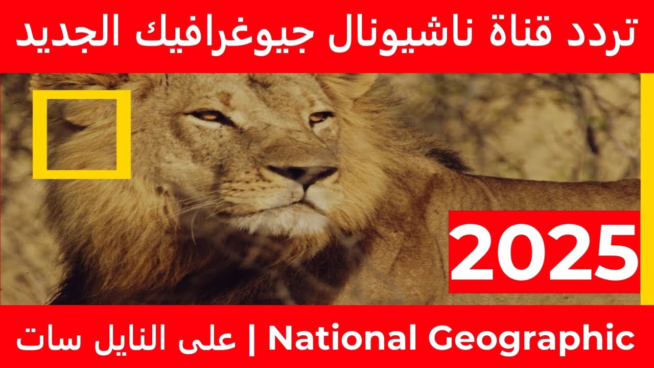 تردد قناة ناشيونال جيوغرافيك نايل سات 2025