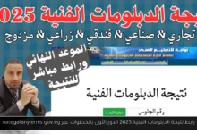 نتيجة الدبلومات الفنية 2025 الدور الأول