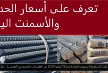 سعر طن الحديد والأسمنت اليوم