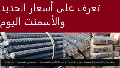 سعر طن الحديد والأسمنت اليوم